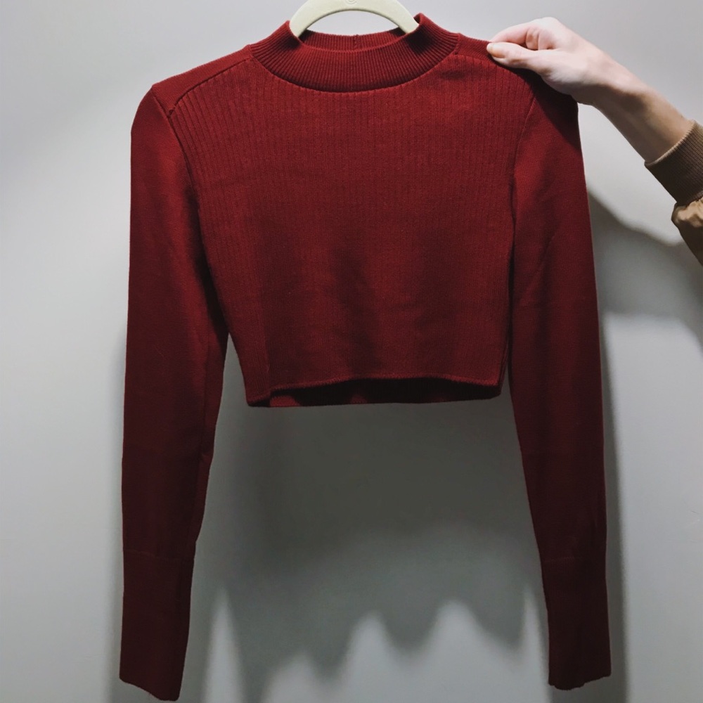 Forever 21 Burgundy Mock Neck Cropped Sweater